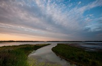 Hollandse Schoonheid, Nationaal Park De Biesbosch