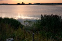 Zacht licht...., Nationaal Park De Biesbosch