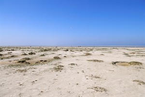 Strand Schiermonikoog