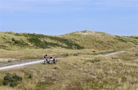 Vlieland