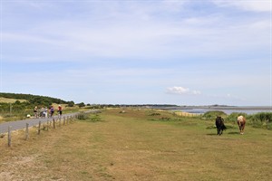 Vlieland