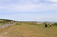 Vlieland, Vlieland