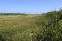 Schiermonnikoog