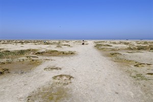 Schiermonnikoog