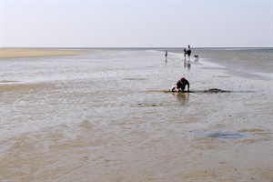 Schiermonnikoog