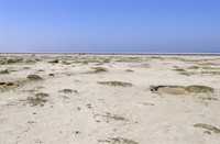 Schiermonnikoog