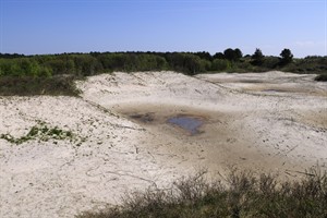 Schiermonnikoog