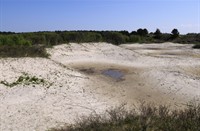 Schiermonnikoog