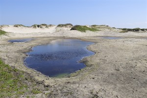 Schiermonnikoog