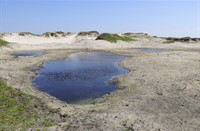 Schiermonnikoog