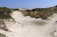 Schiermonnikoog