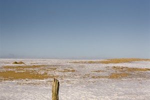 Hoge Veluwe