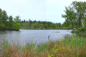 Baardwijkse Overlaat