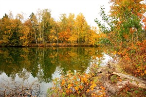 Herfst in de Baardwijkse Overlaat