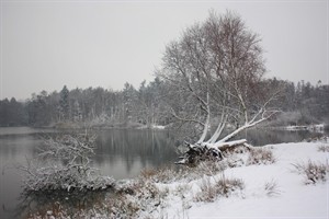 Sneeuwdek in de overlaat