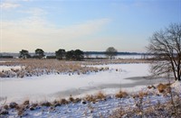 huis terheide