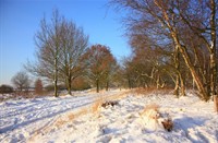 landgoed Huis terheide