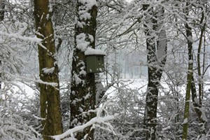 eigen huis en tuin