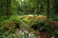 Gorp de leij, Gorp de Leij - Abcoven