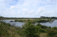 Vogelmeer, Kennermerduinen, Vogelmeer