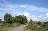 fietspad vogelmeer, Kennermerduinen, fietspad langs het vogelmeer