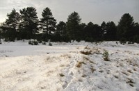 Duinen, Heerenduinen, Duin in de sneeuw