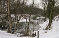 Tankval, Heerenduinen, Tankval