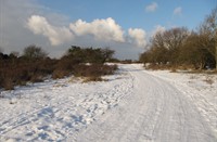 Duin, Heerenduinen, Duin