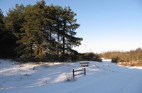 Bankje in de duinen, Heerenduinen