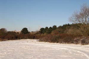 Duinpad in de sneeuw