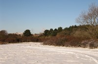 Duinpad in de sneeuw, Heerenduinen