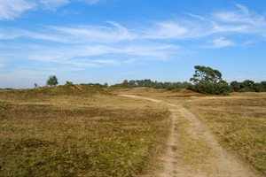 Wekeromse zand