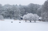 Winter op landgoed Heuven