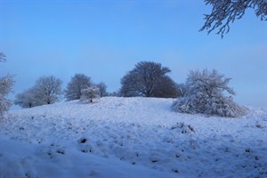 Winter op de Posbank