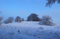 Winter op de Posbank