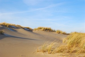 Duinen