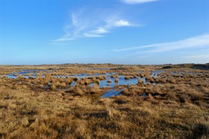 De Slufter, Texel