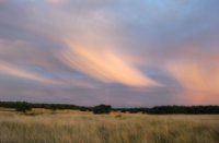 Mooie lucht tijdens zonsondergang, Nationaal Park De Hoge Veluwe, lucht