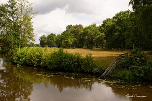 Ruiten Aa in Sellingen Groningen