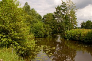 Ruiten Aa in Sellingen Groningen