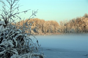 Deken van mist