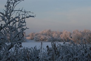 Winterlandschap