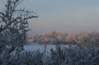 Winterlandschap