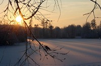 Laatste zonnestralen