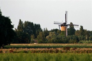 Uitzicht op Molen de Arend in Terheijden