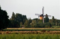 Uitzicht op Molen de Arend in Terheijden