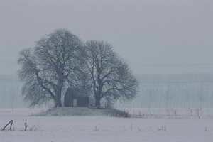 Griendhuisje in de Biesbosch