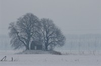 Griendhuisje in de Biesbosch