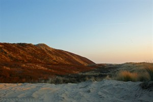 Duinen van Nieuw-Haamstede