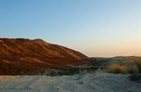 Duinen van Nieuw-Haamstede